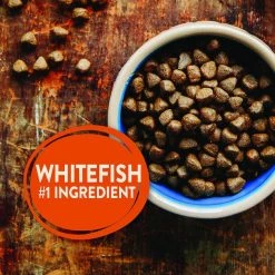 Wellness CORE Ocean Whitefish, Herring & Salmon Recipe Dry Dog Food + Bowl Boosters Tender Whitefish & Salmon Recipe Food Mixer or Topper -Wellness CORE || Caitec Sales 2022 367527 PT2. SY630 V1644451617