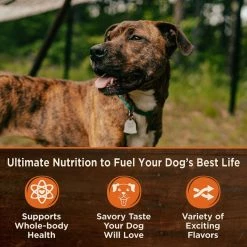 Wellness CORE Simply Shreds Chicken, Beef & Carrots + Chicken, Salmon & Pumpkin Wet Dog Food Topper -Wellness CORE || Caitec Sales 2022 367552 PT7. SY630 V1644450382