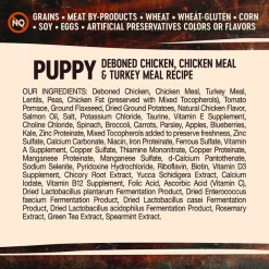 Wellness CORE Grain-Free Puppy Chicken & Turkey Recipe Dry Dog Food -Wellness CORE || Caitec Sales 2022 52016 PT3. SY630 V1594834867