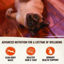 Wellness CORE Grain-Free Hearty Cuts in Gravy Shredded Chicken & Turkey Recipe Canned Cat Food -Wellness CORE || Caitec Sales 2022 95710 PT2. SY630 V1595350854